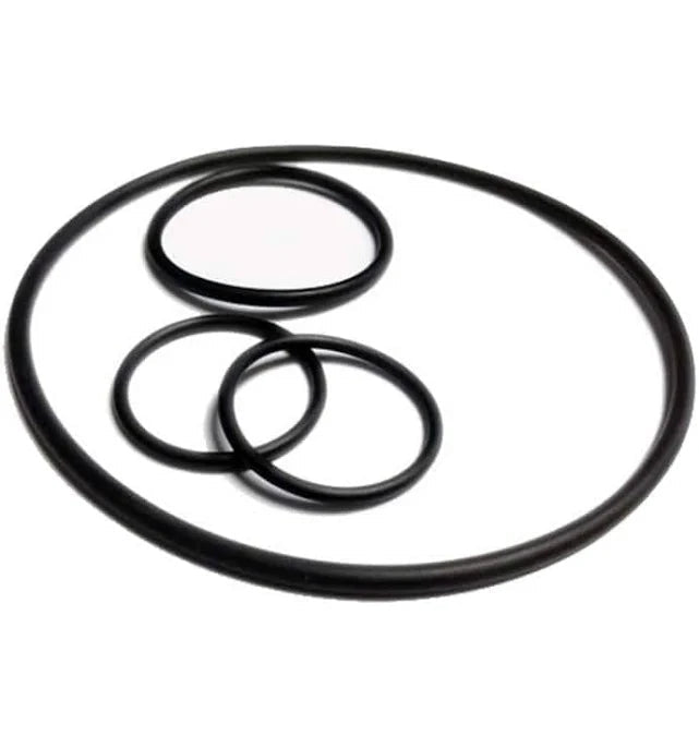 #2 0-RING 6" VALVES by Ames Backflows