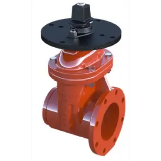3" KEN RW GATE VALVE GROOVED OS&Y - Fire Protection Parts