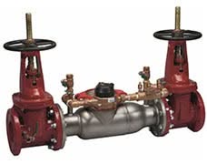 SERIES 3000SS DBL CHK DETECTOR ASSY - Fire Protection Parts