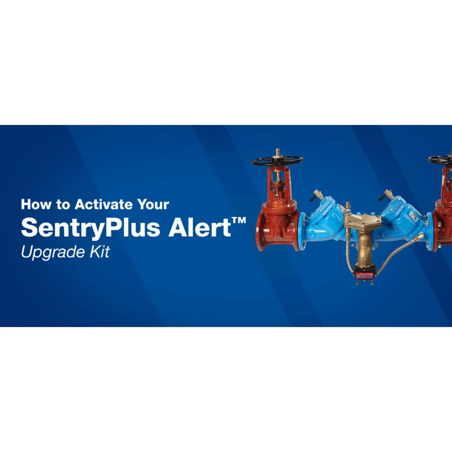 3" 4000SS OS&Y Backflow Preventor Valve Stainless Steel Stem
