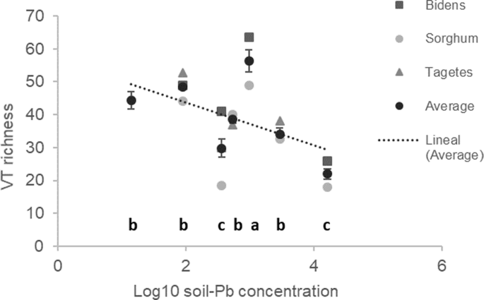 VT121 2 X 1 X 2 DI REDUCING TEE BLACK