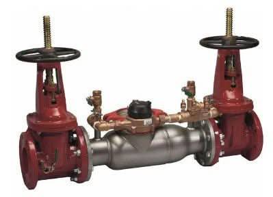 8" 3000SSOS&Y FxG DOUBLE DETECTOR CK - Fire Protection Parts