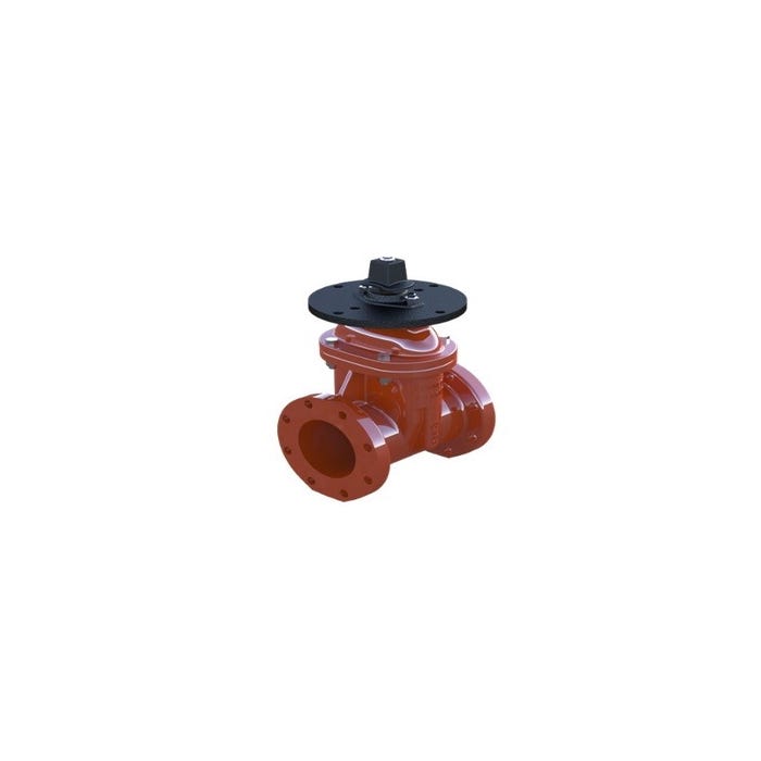 FLANGED NRS GATE VALVE W/ NUT - Fire Protection Parts