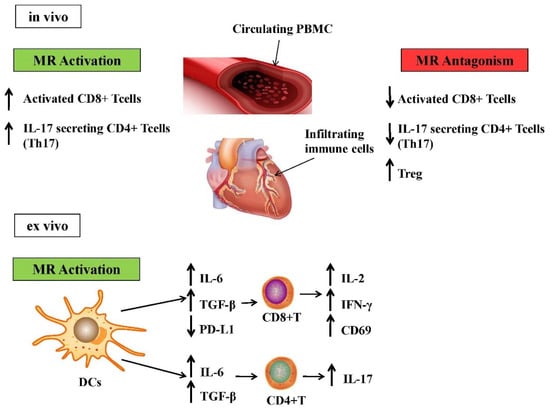 Gland Foll F4068 - 6 R10 Durable Fire Protection Component - Fire Protection Parts