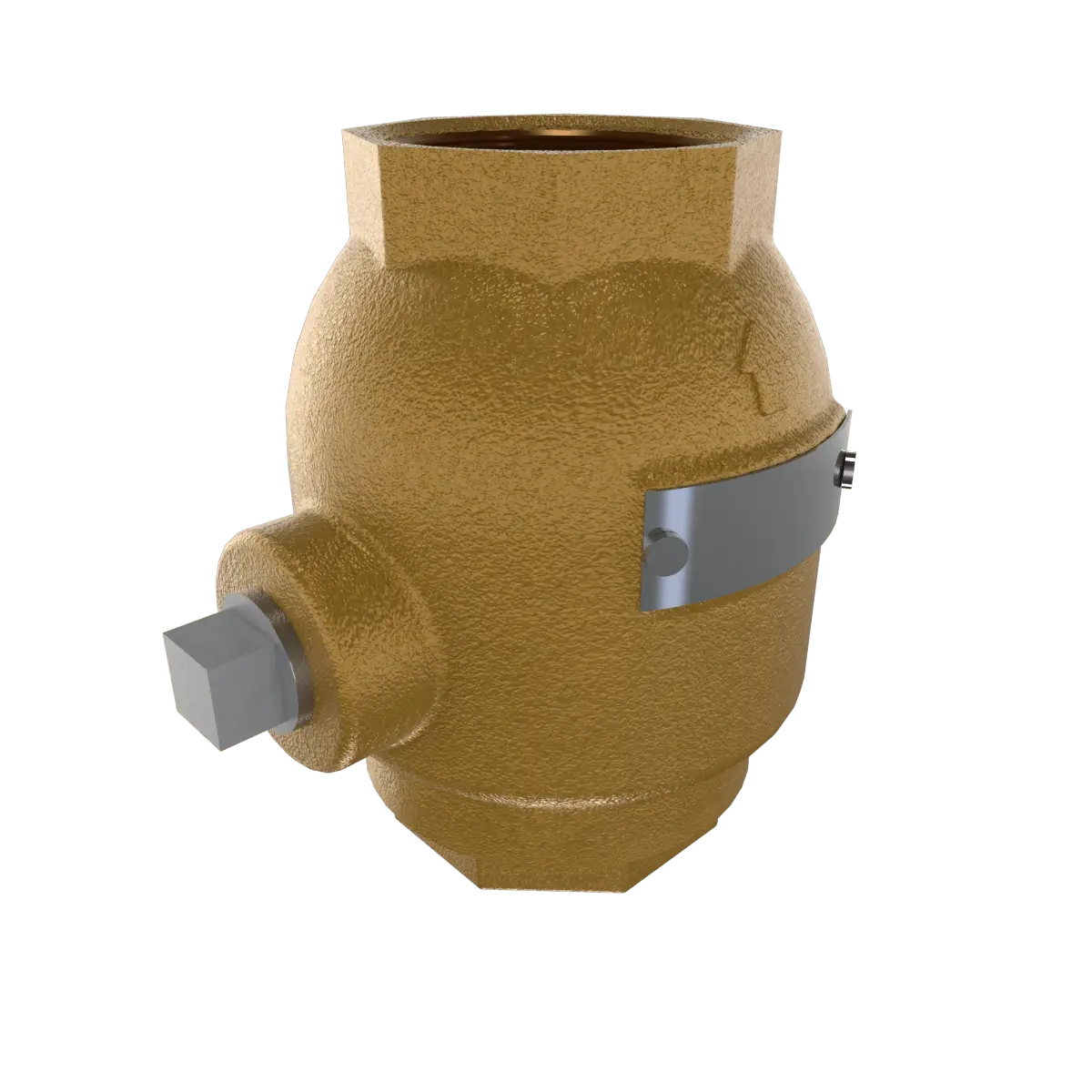 Model K1 L1 Spring Loaded In Line Check Valve by Viking