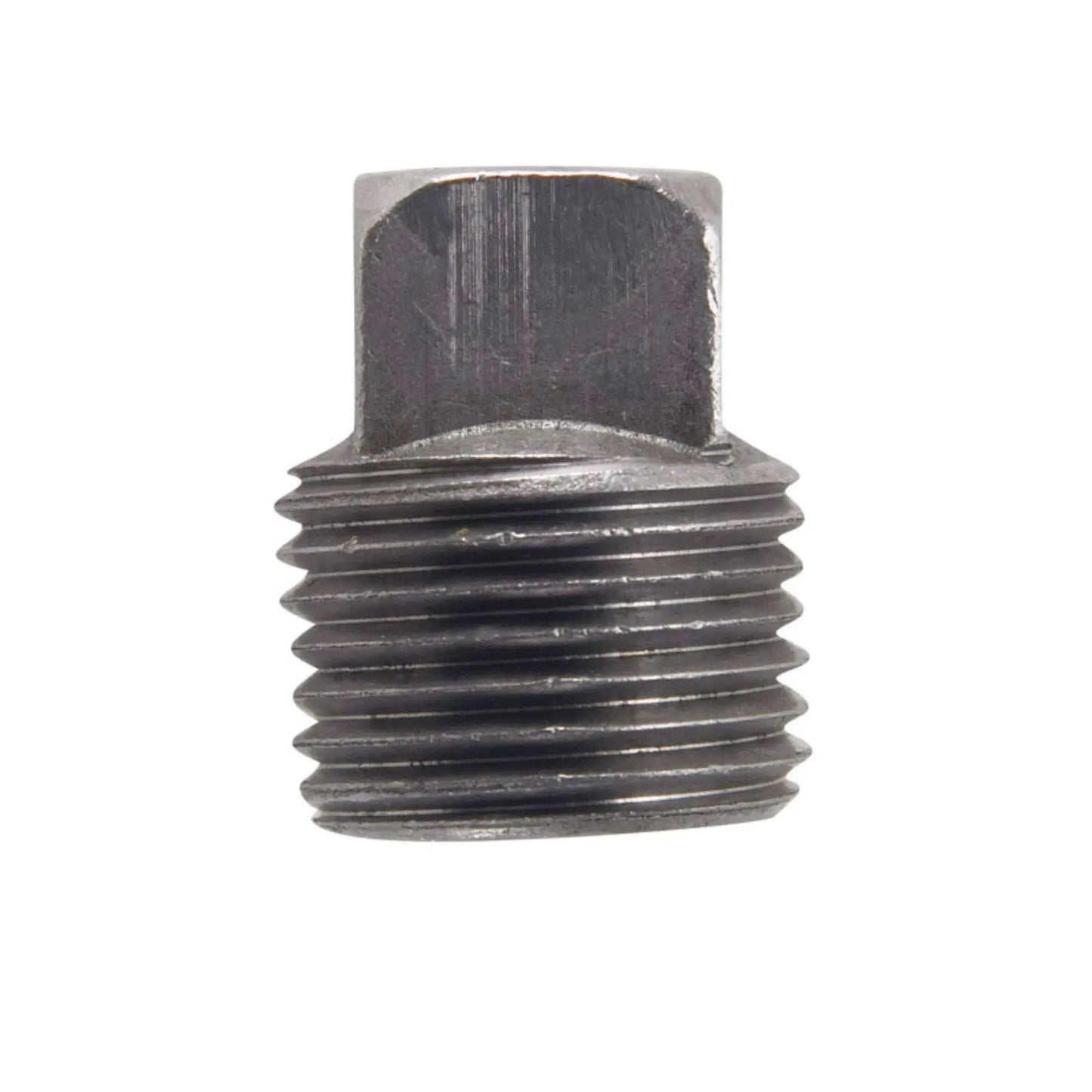 Plug Pipe 1/8" Black Steel for Fire Protection Systems by Viking