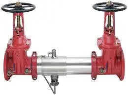 Reduced Pressure Assembly 2" with Grooved Butterfly Valve and Flood Sensor by Watts by Ames Backflows