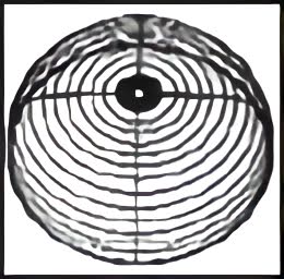 10" Bell Guard For Enhanced Fire Protection Safety Shield