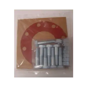 10 BOLT NUT GASKET PACK - Fire Protection Parts