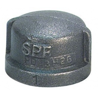 1 1/4 DI CAP - Fire Protection Parts