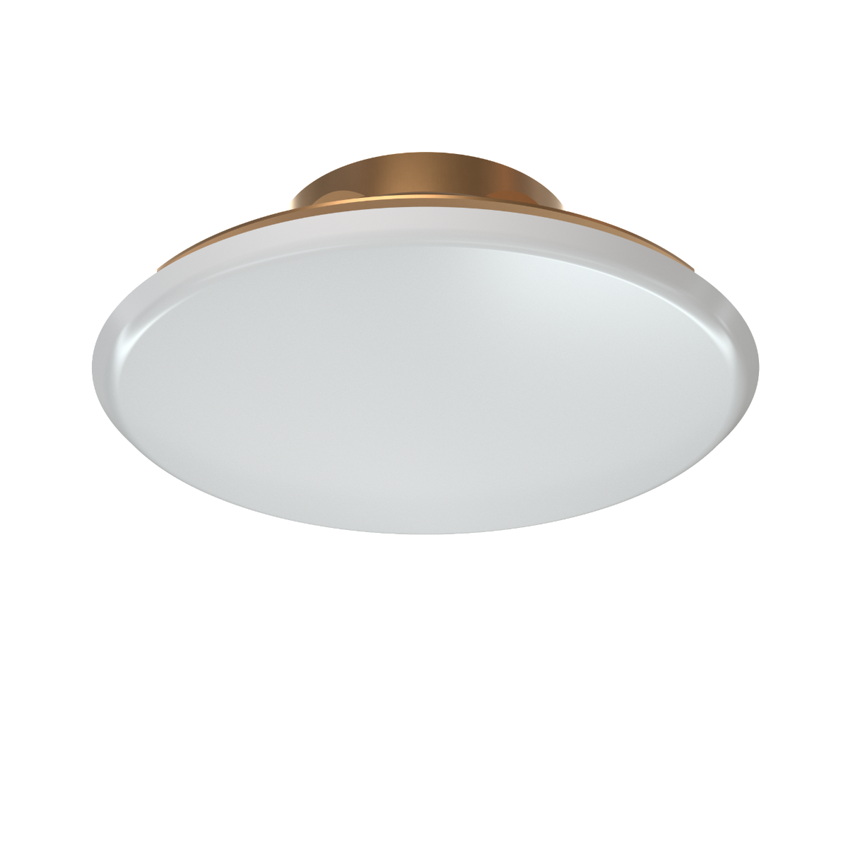 MODEL B REPLACEMENT COVER PLATE - Fire Protection Parts