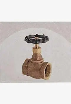 1/2" Import Globe Valve 200 PSI for Fire Safety by Brecco Corp