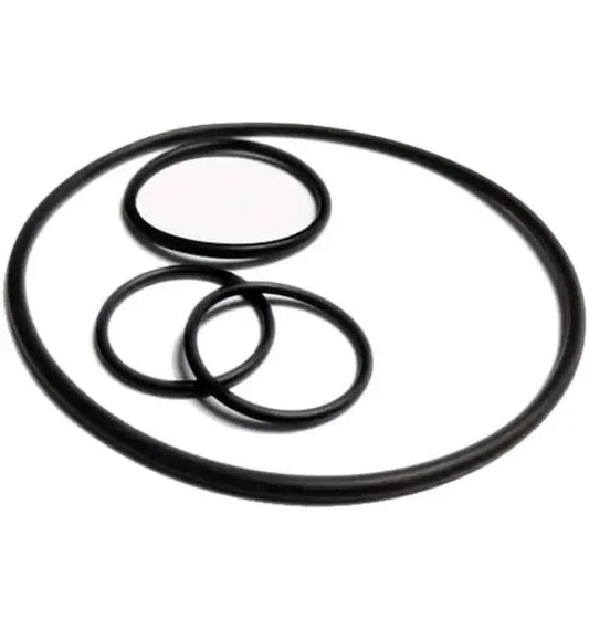 #2 0-RING 6" VALVES by Ames Backflows