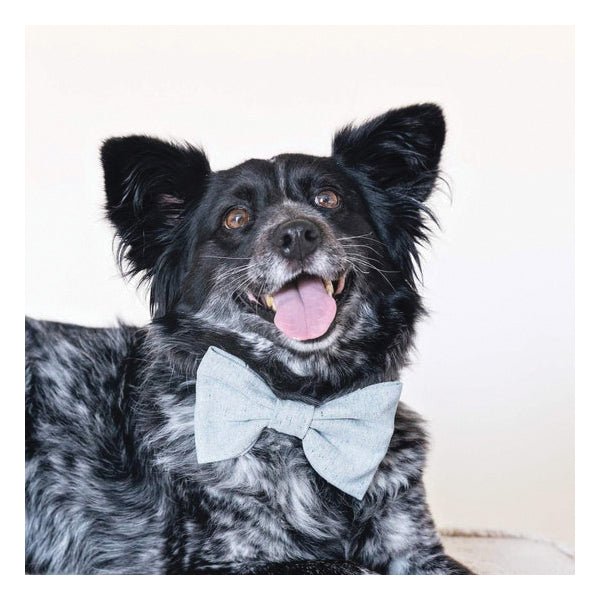 2 - 1/2" Sprinkler Floor Control Valve Abss S - Bt - Fire Protection Parts