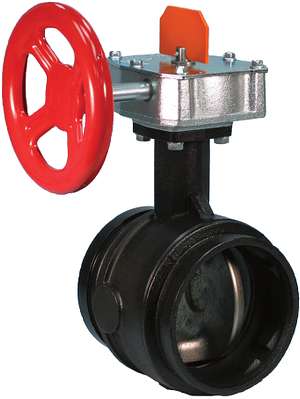2" Reduced Pressure Backflow Valve With Supervised Switch - Fire Protection Parts