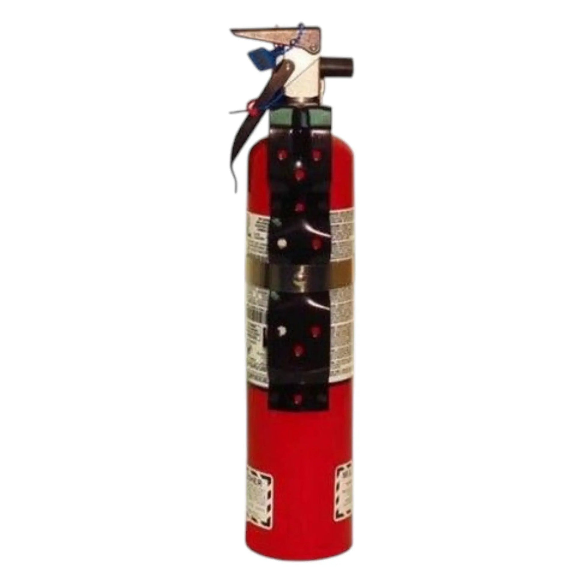 2.5 Lb ABC 1A10BC Chemical Fire Extinguisher with Valve by Strike First Corporation
