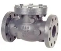 6" Flanged Swing Check Cast Iron NIBCO Valve by Nibco Inc.