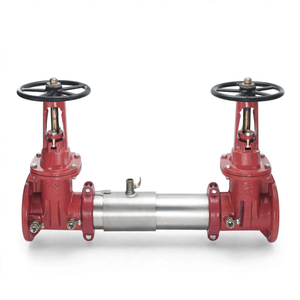 6" Double Check Assembly Backflow Preventor Valve by Ames for Fire Protection Systems