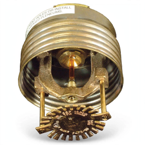 Fire Sprinkler Concealed K5.6 1/2" F4FR-NF | Reliable