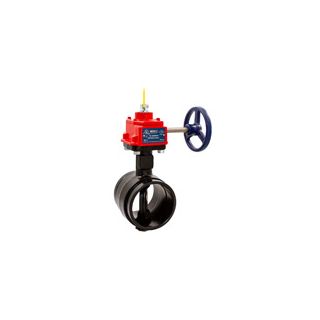 2 1/2 GRVD BFV W/TAMPER - Fire Protection Parts