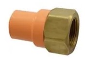3/4" CPVC SPIGOT FEMAL ADAPTER - Fire Protection Parts
