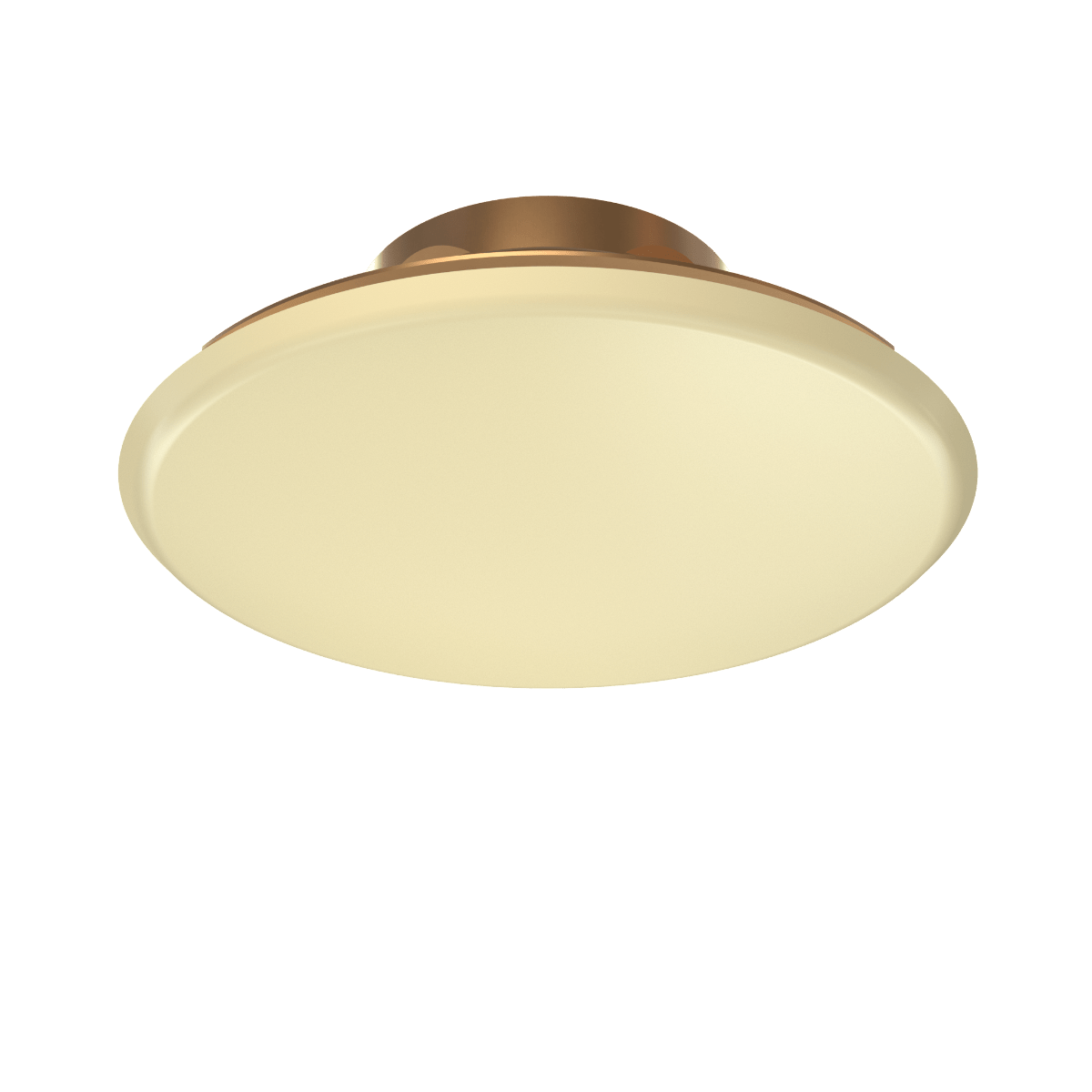 MODEL B REPLACEMENT COVER PLATE - Fire Protection Parts