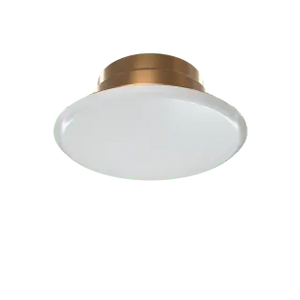 10" 200S Uniflange With Tran Gas Fire Protection System Fire Protection Napac, Inc Fire Protection Parts Fire Protection Equipment