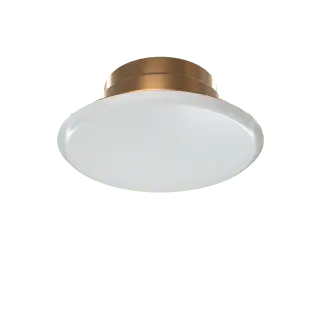 10" 200S Uniflange With Tran Gas Fire Protection System Fire Protection Napac, Inc Fire Protection Parts Fire Protection Equipment