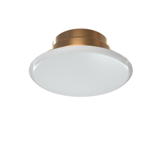 COVER ASSEMBLY,MRAGE CONCEALED,PAINTED IV,165 - Fire Protection Parts