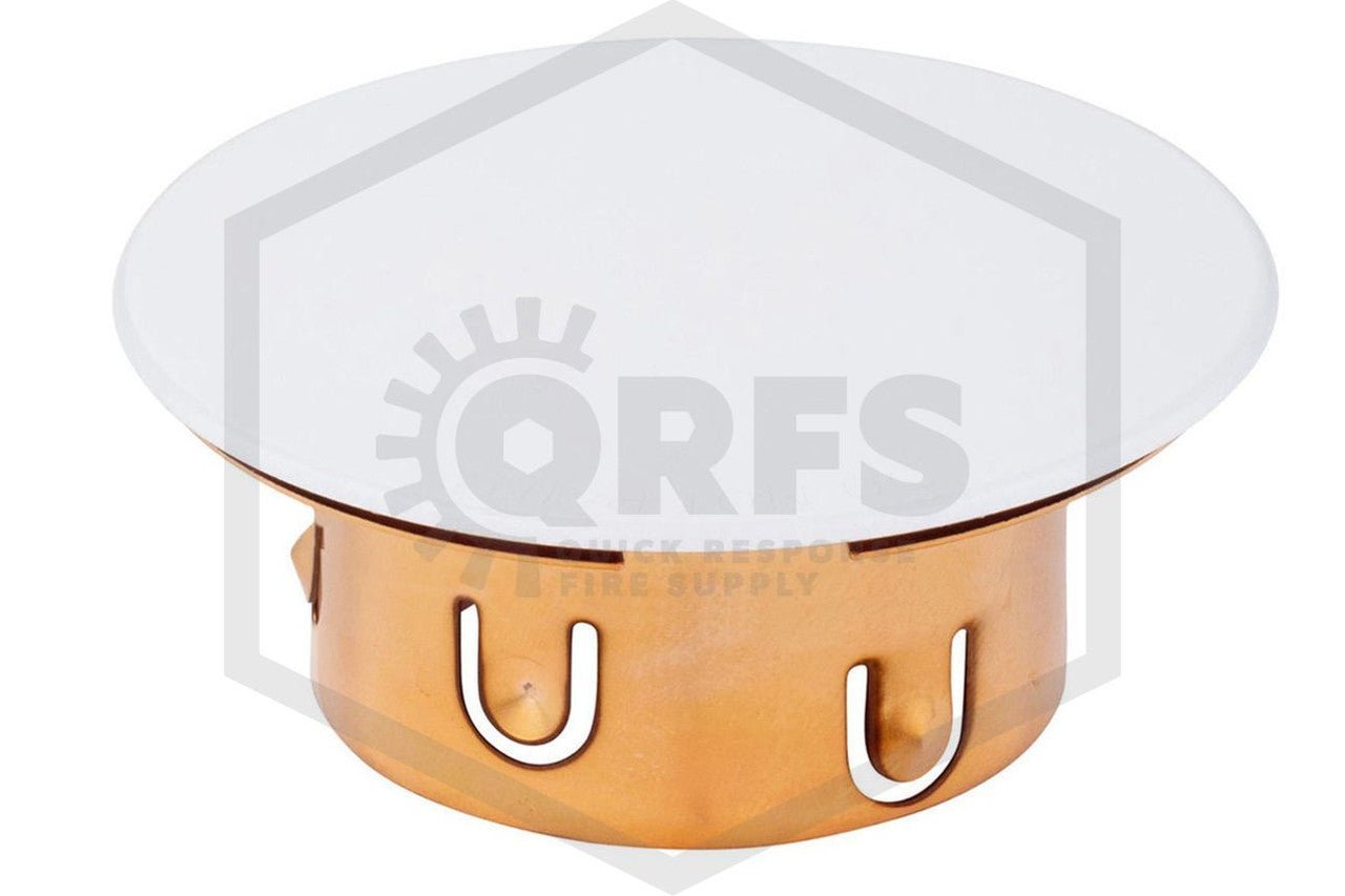 Cover Plate Assembly Malleable Iron Painted White 139F - Fire Protection Parts