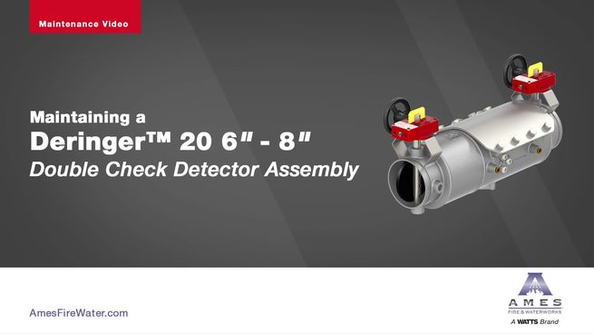Deringer 20" Low Head Loss Double Check Valve Assembly - Fire Protection Parts