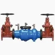 6" Double Detector Assembly With OSY Zurn Wilkins by Zurn Wilkins