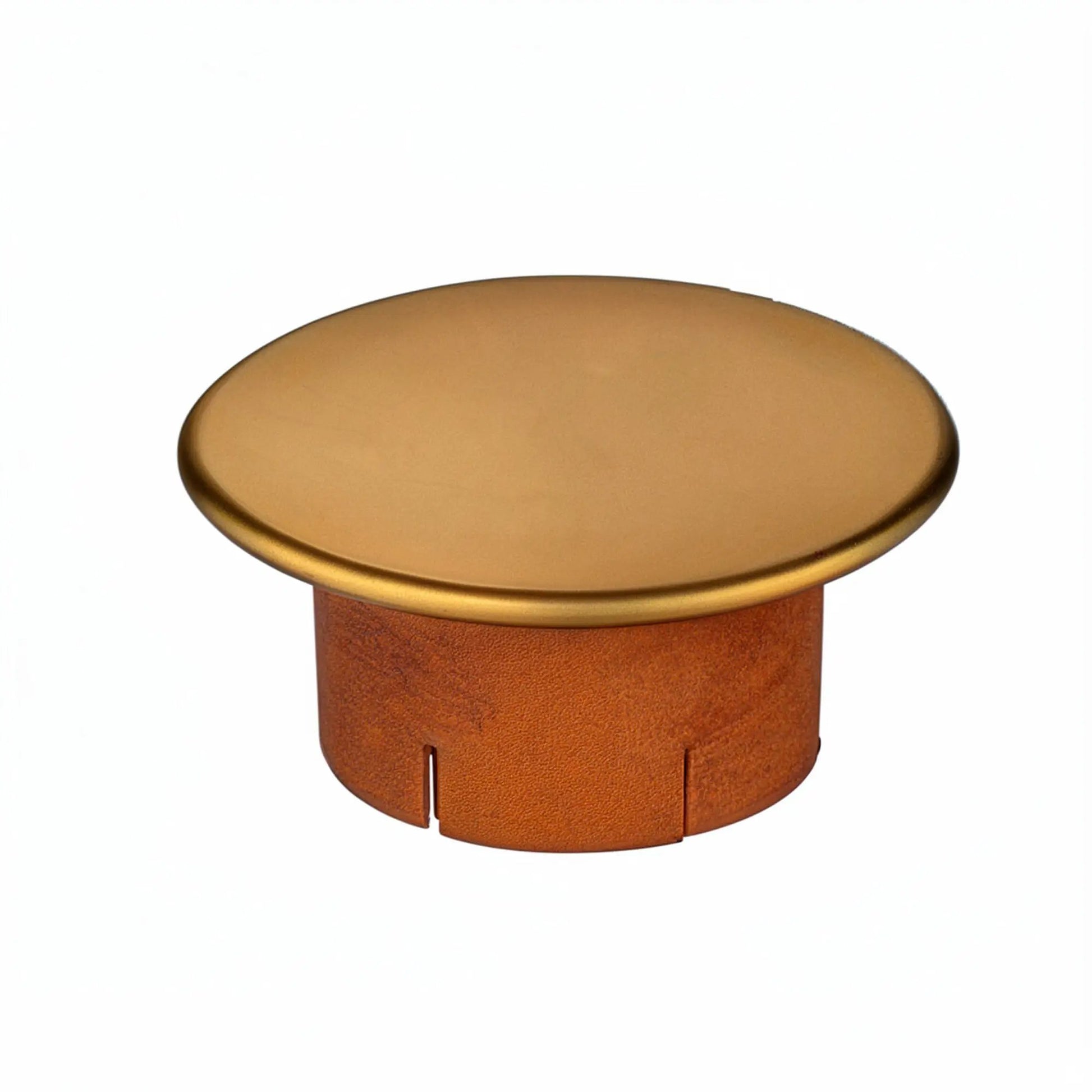 Fire Sprinkler G5 Cover Plates for Critical Protection by Reliable Sprinkler