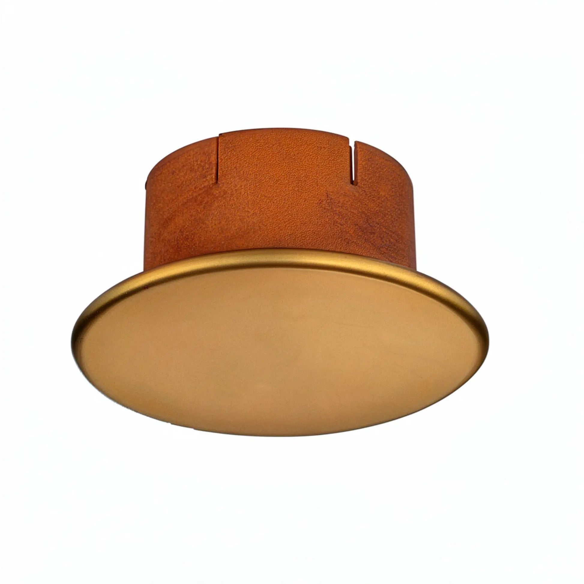 Fire Sprinkler G5 Cover Plates for Critical Protection by Reliable Sprinkler