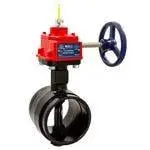 Grooved Butterfly Valve With Tamper For Fire Systems by Nibco Inc.