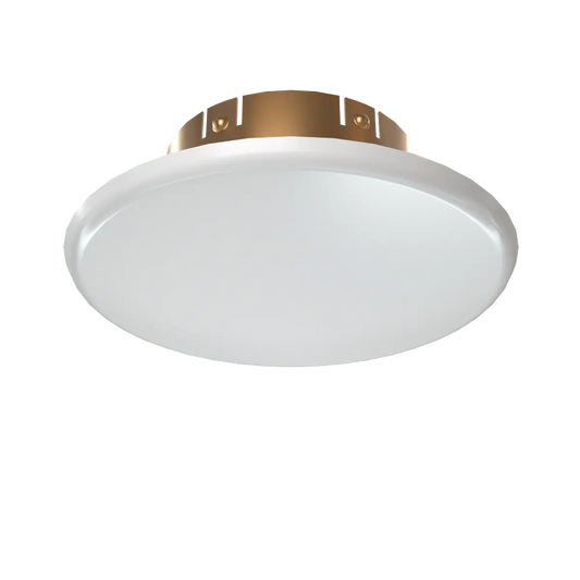 Large Push On Cover Plates For Concealed Sprinklers by Viking