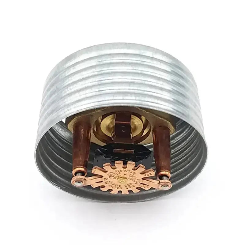 Reliable Concealed Fire Sprinkler LT56C RA5994 1/2" BSPT by Reliable Sprinkler