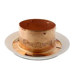 Reliable G5 Sealing Concealed Cover Plates by Reliable Sprinkler