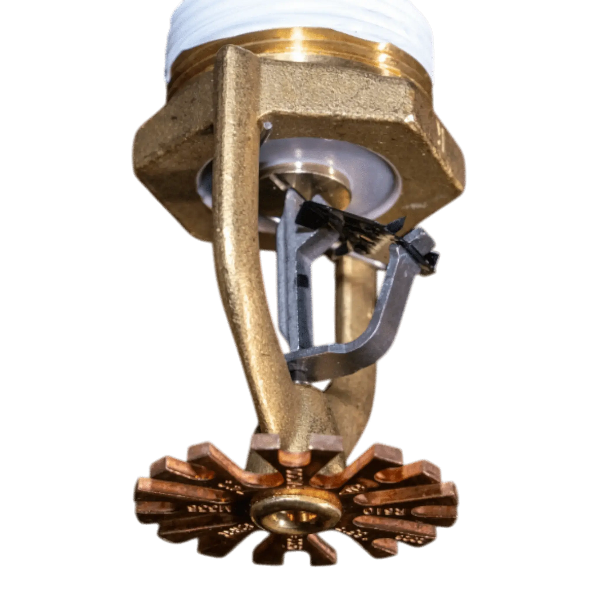 Reliable MODEL M336,ESFR PENDENT,K33.6, NPT THREADS,1-1/4, R610 by Reliable Sprinkler