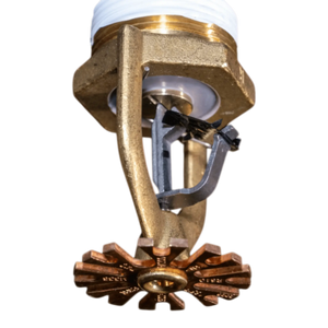 Reliable MODEL M336,ESFR PENDENT,K33.6, NPT THREADS,1-1/4, R610 by Reliable Sprinkler
