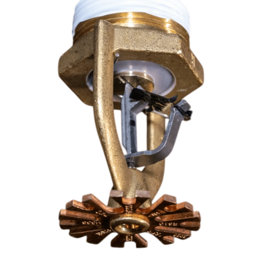 Reliable MODEL M336,ESFR PENDENT,K33.6, NPT THREADS,1-1/4, R610 by Reliable Sprinkler