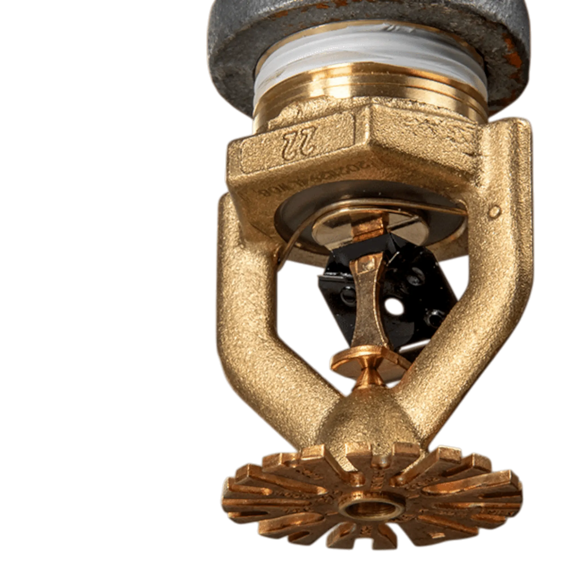 Reliable MODEL P22, ESFR, PENDENT, K22, THREADS 1" (25MM) THREADED by Reliable Sprinkler