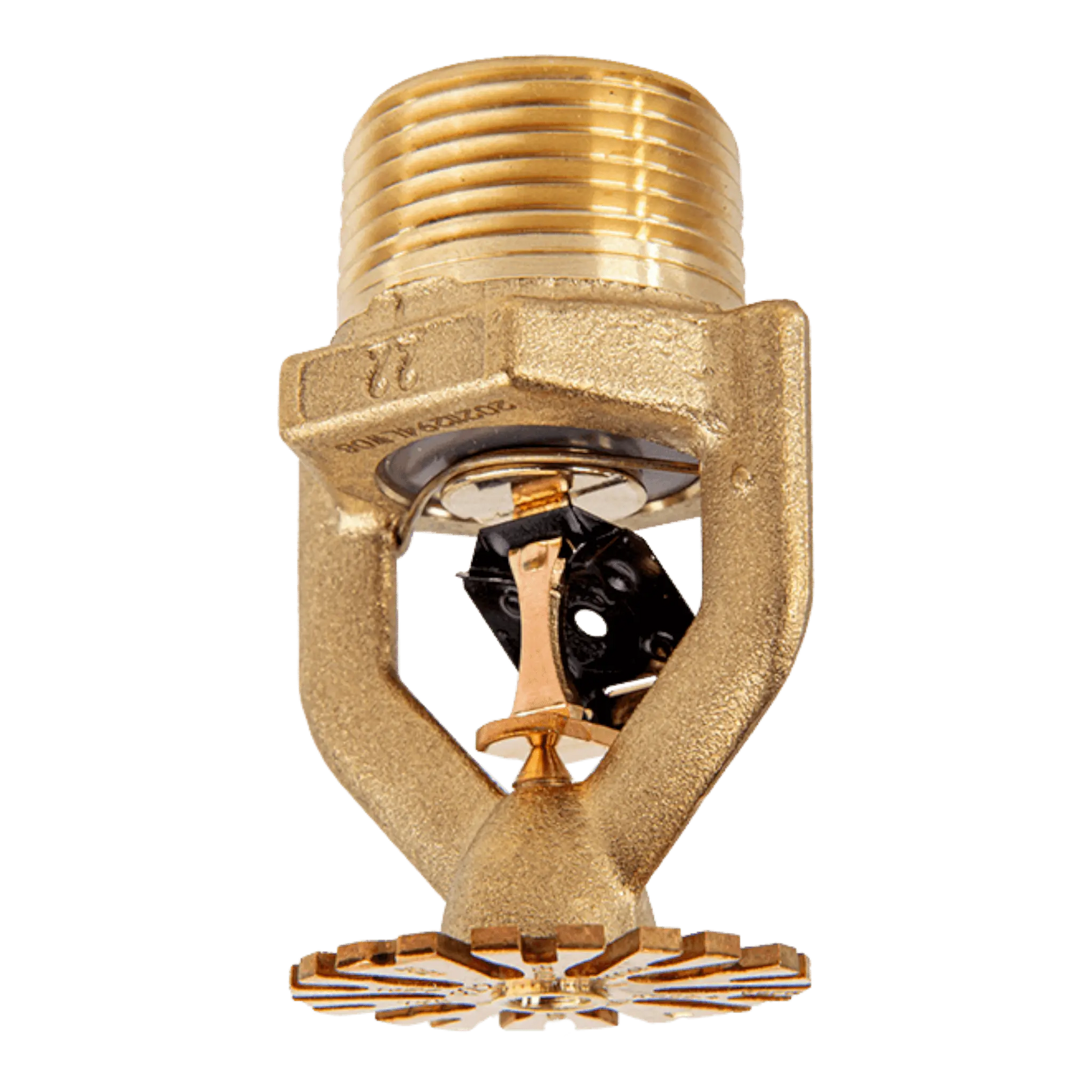 Reliable MODEL P22, ESFR, PENDENT, K22, THREADS 1" (25MM) THREADED by Reliable Sprinkler
