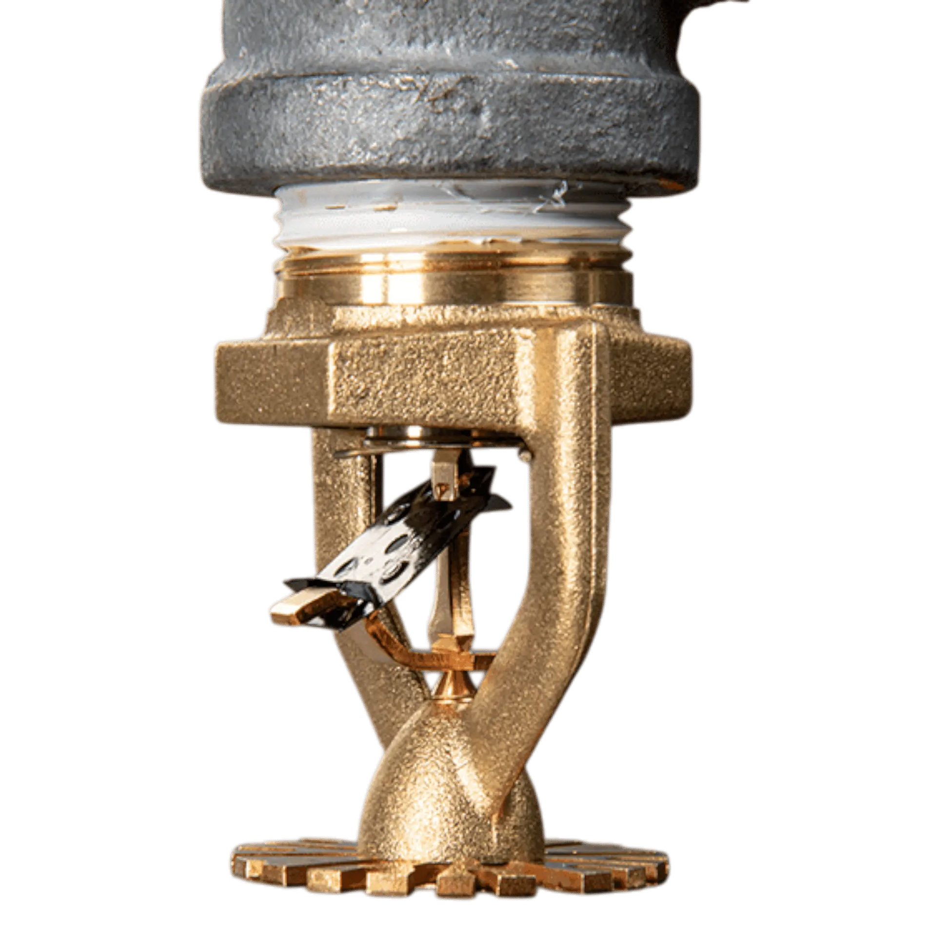 Reliable MODEL P22, ESFR, PENDENT, K22, THREADS 1" (25MM) THREADED by Reliable Sprinkler
