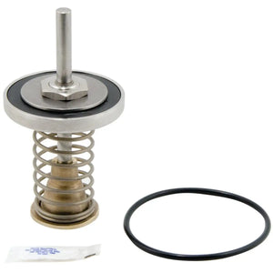 LFRK 909-CK2 Second Check Kit for 2" Fire System Repair by Watts Regulator Co