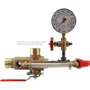 TESTanDRAIN 2511T Ball Valve for Fire Sprinkler System by AGF Manufacturing