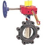 WAFER BUTTERFLY VALVE W/ SWITCHES - Fire Protection Parts