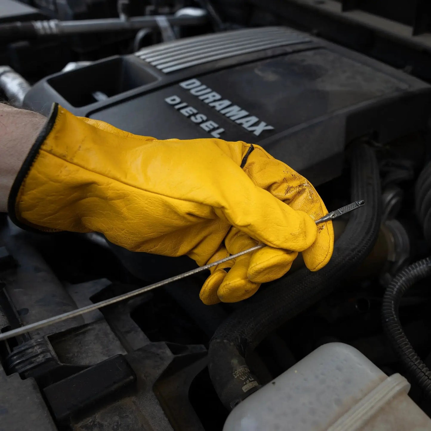 Yellow Jacket - D367 by Bear Knuckles